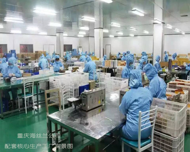 配套核心生产工厂实景图_重庆海丝兰科技有限公司